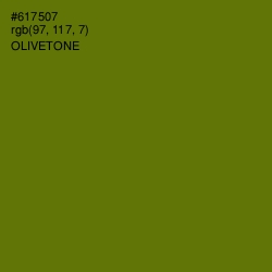 #617507 - Olivetone Color Image