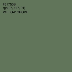 #61755B - Willow Grove Color Image