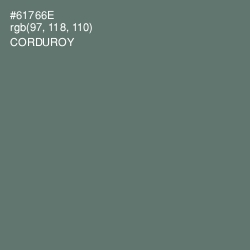 #61766E - Corduroy Color Image