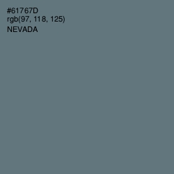 #61767D - Nevada Color Image