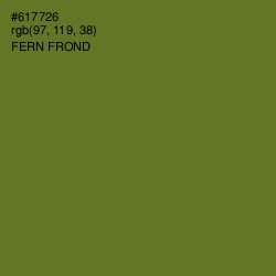 #617726 - Fern Frond Color Image