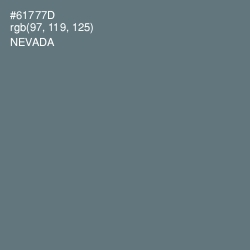 #61777D - Nevada Color Image