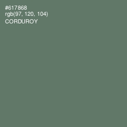 #617868 - Corduroy Color Image