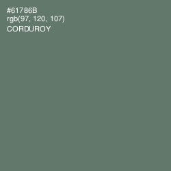 #61786B - Corduroy Color Image