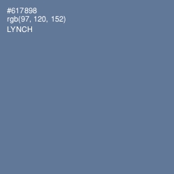 #617898 - Lynch Color Image