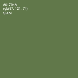 #61794A - Siam Color Image