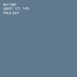 #61798F - Pale Sky Color Image