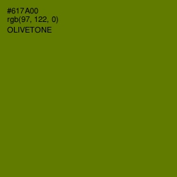 #617A00 - Olivetone Color Image