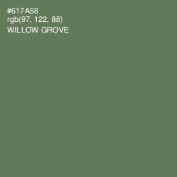 #617A58 - Willow Grove Color Image