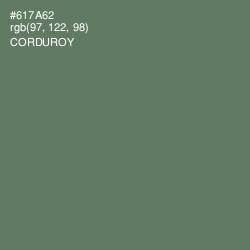 #617A62 - Corduroy Color Image
