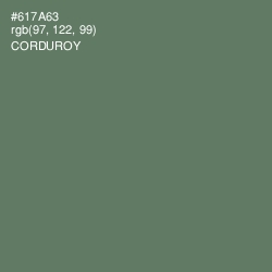 #617A63 - Corduroy Color Image