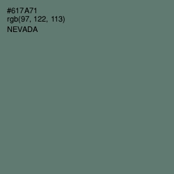 #617A71 - Nevada Color Image