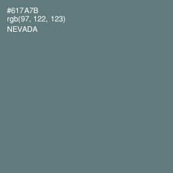 #617A7B - Nevada Color Image