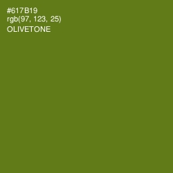 #617B19 - Olivetone Color Image