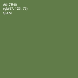 #617B49 - Siam Color Image
