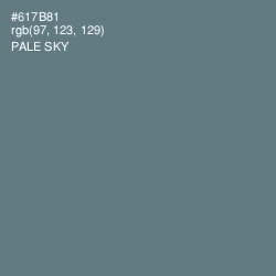 #617B81 - Pale Sky Color Image