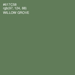 #617C58 - Willow Grove Color Image