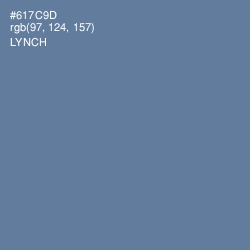 #617C9D - Lynch Color Image