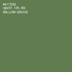 #617D50 - Willow Grove Color Image