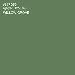 #617D59 - Willow Grove Color Image