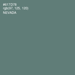 #617D78 - Nevada Color Image