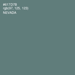 #617D7B - Nevada Color Image