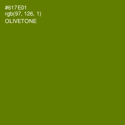 #617E01 - Olivetone Color Image