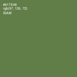 #617E48 - Siam Color Image