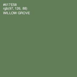 #617E58 - Willow Grove Color Image
