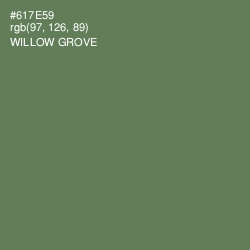 #617E59 - Willow Grove Color Image