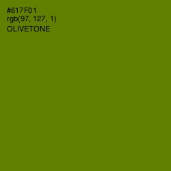 #617F01 - Olivetone Color Image