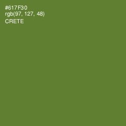 #617F30 - Crete Color Image