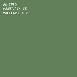 #617F59 - Willow Grove Color Image