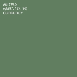 #617F60 - Corduroy Color Image