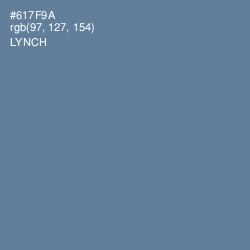 #617F9A - Lynch Color Image