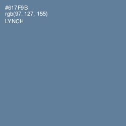 #617F9B - Lynch Color Image