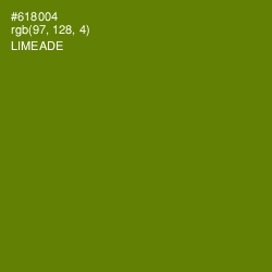 #618004 - Limeade Color Image