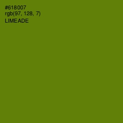 #618007 - Limeade Color Image