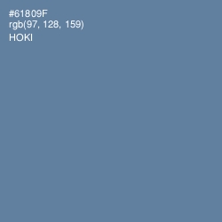 #61809F - Hoki Color Image