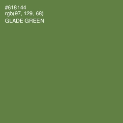 #618144 - Glade Green Color Image