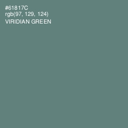 #61817C - Viridian Green Color Image