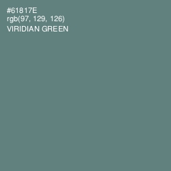 #61817E - Viridian Green Color Image