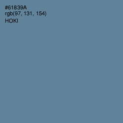 #61839A - Hoki Color Image