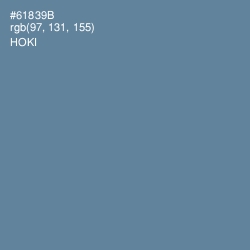 #61839B - Hoki Color Image