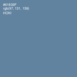 #61839F - Hoki Color Image