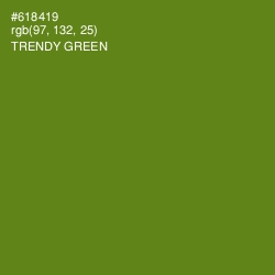 #618419 - Trendy Green Color Image