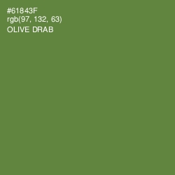 #61843F - Olive Drab Color Image