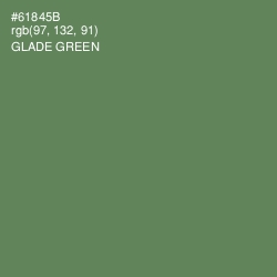 #61845B - Glade Green Color Image