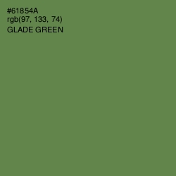 #61854A - Glade Green Color Image