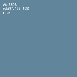 #61859B - Hoki Color Image